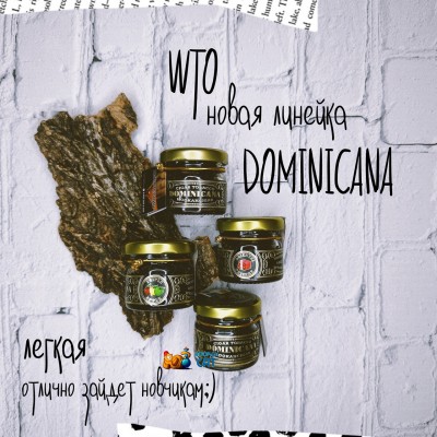 WTO DOMINICANA 